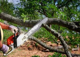 Mulching Services in Calcium, NY